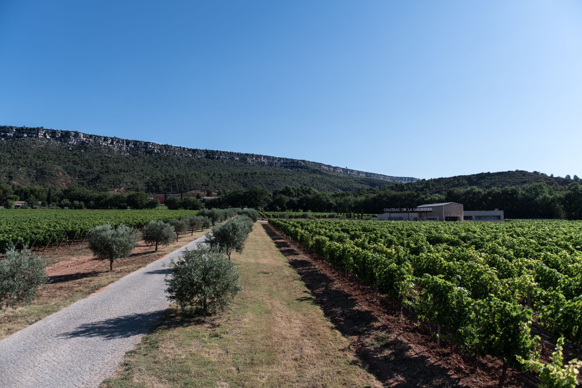 Château de la Galinière - photo 2