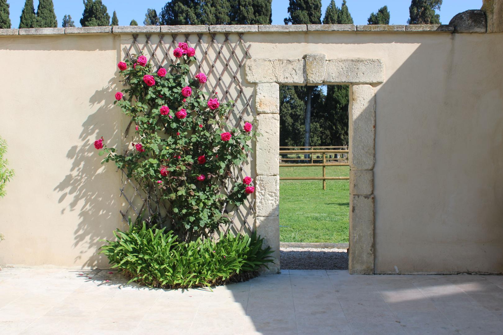 Le Mas des Fontaines, Châteaurenard - photo 32