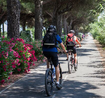 piste cyclable - V65 - Fréjus