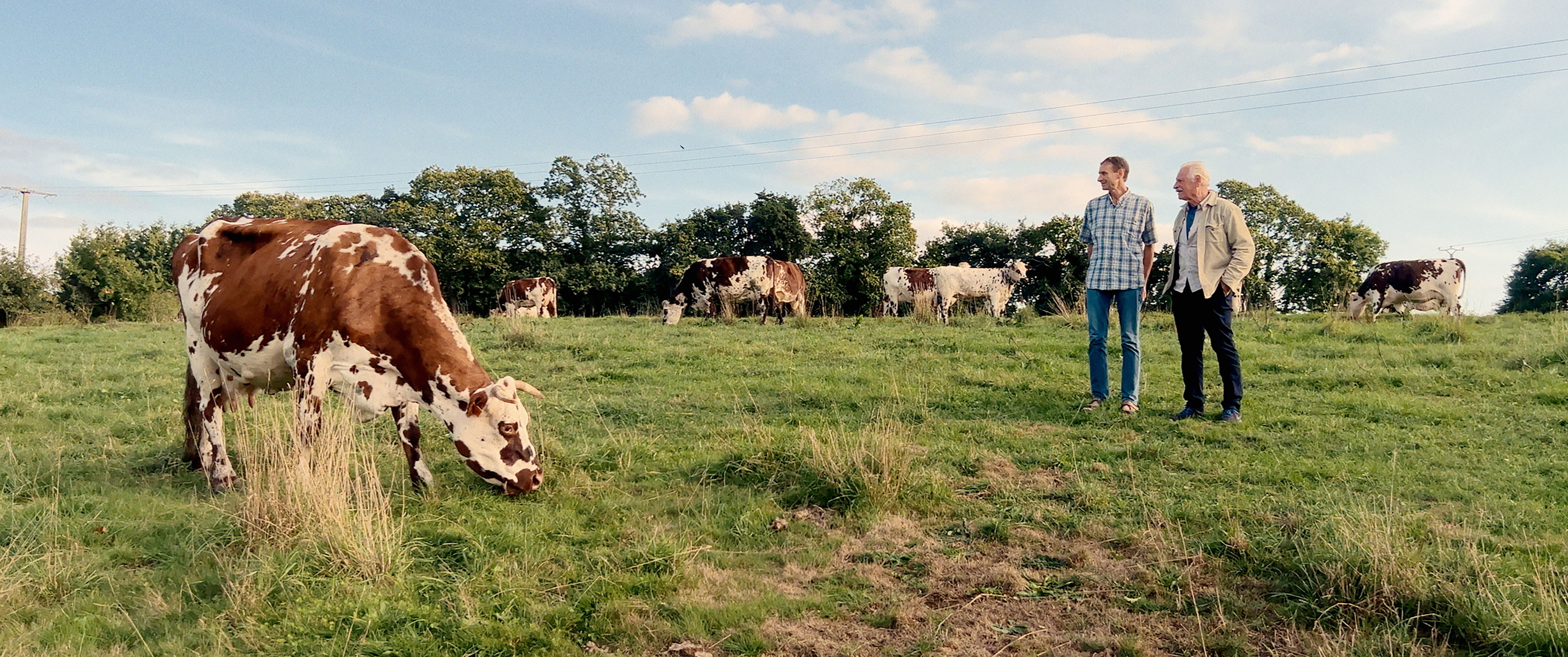 France, une histoire d’amour / Avant-première