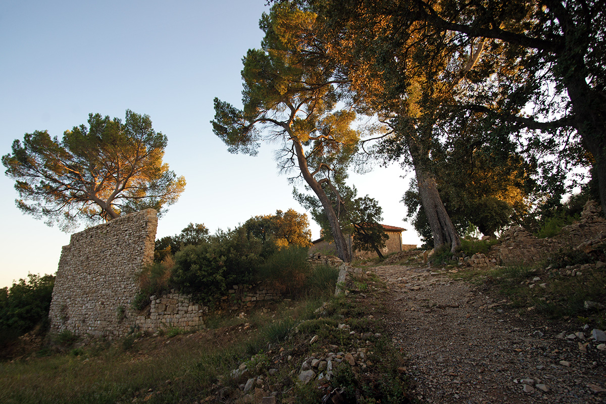 Notre Dame de la Vière - Ancien castrum - Carnoules