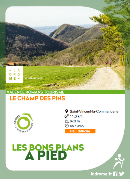 Le champ des Pins_Saint-Vincent-la-Commanderie