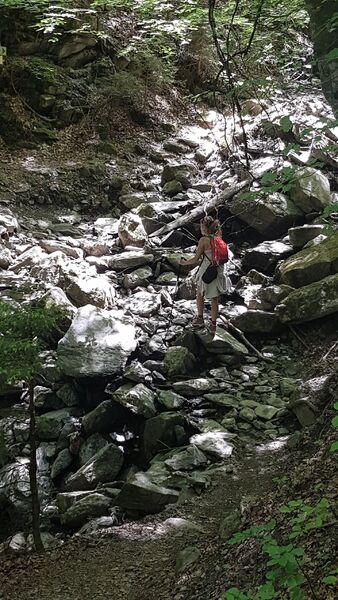 sentier pédestre : sentier forestier de Mayères