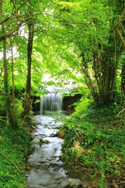 Le Pressoir de Marsa_Panossas