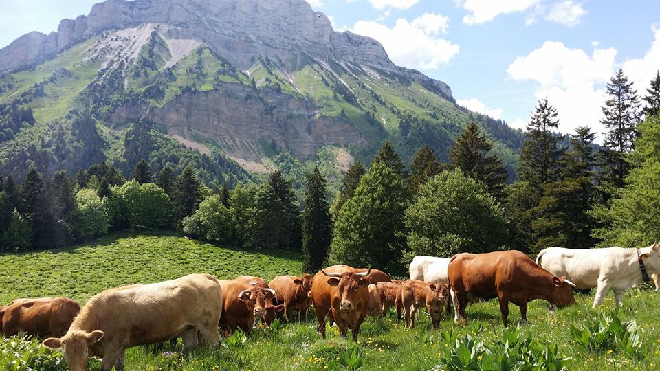 La Ferme de Pré Morin