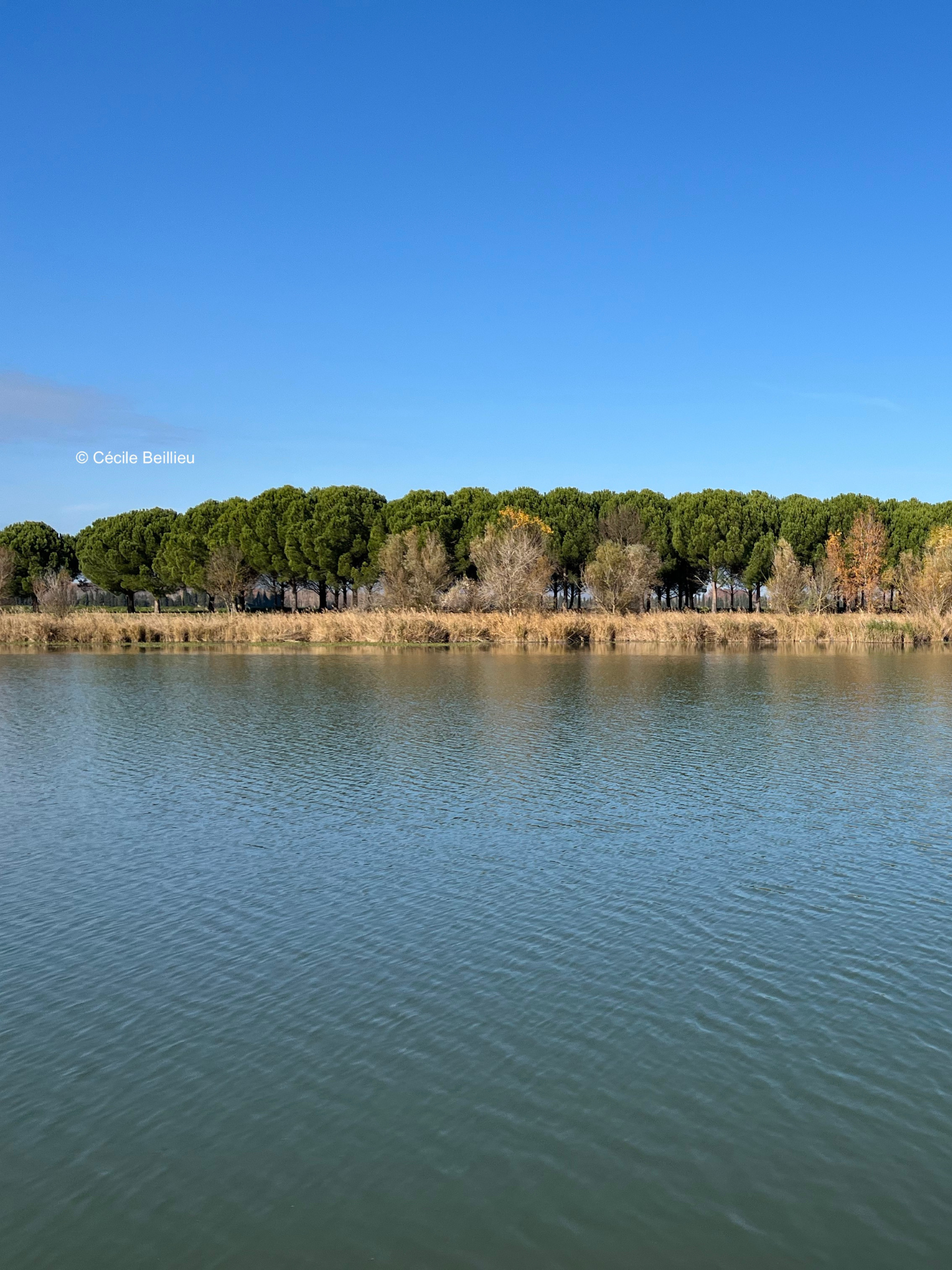 Lac du Barreau - photo 5
