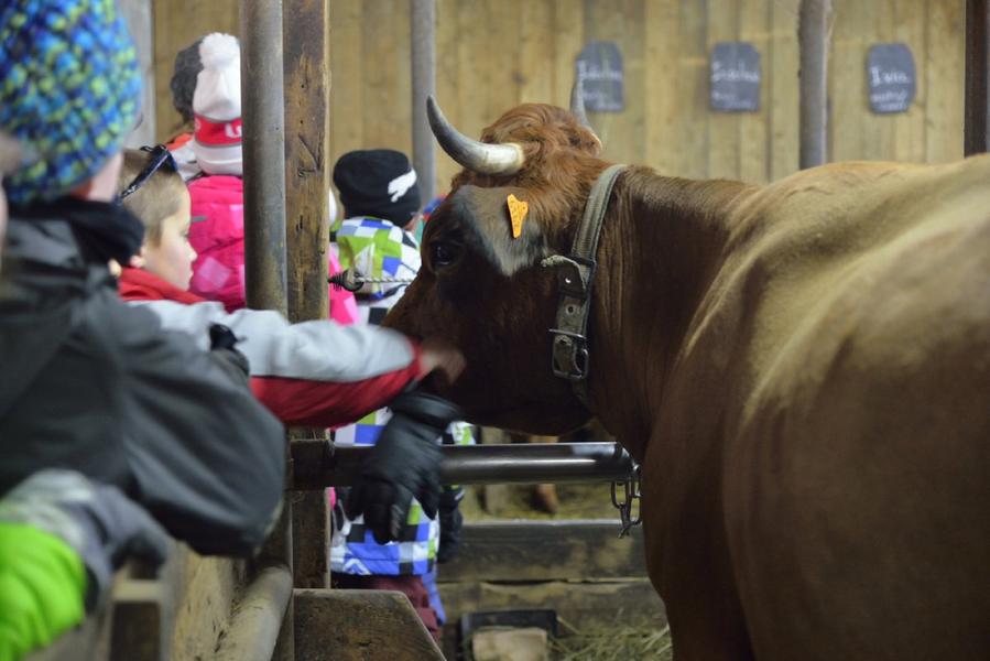 Animation Maison Lieutenant 1