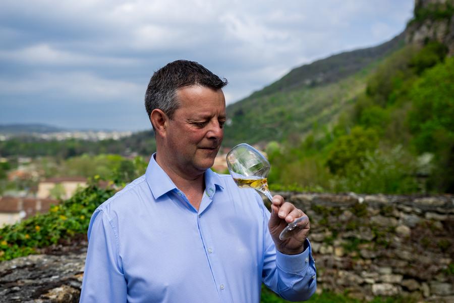 Les sens de la vigne