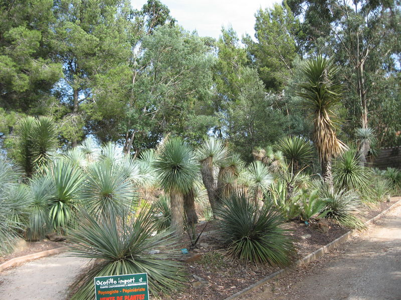 Jardin Zoologique Tropical