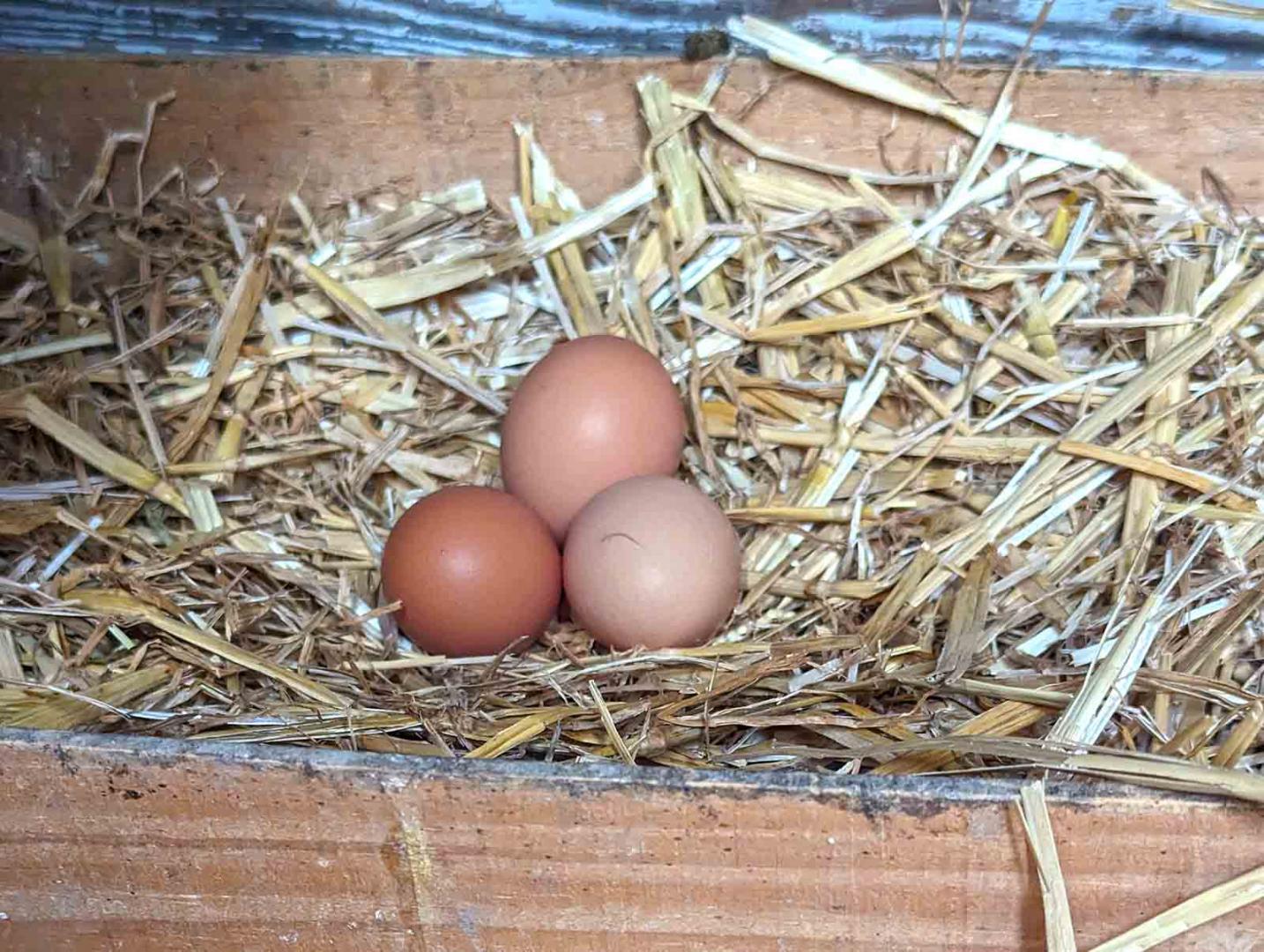 Le Panorama des Alpilles, Aureille - photo 40