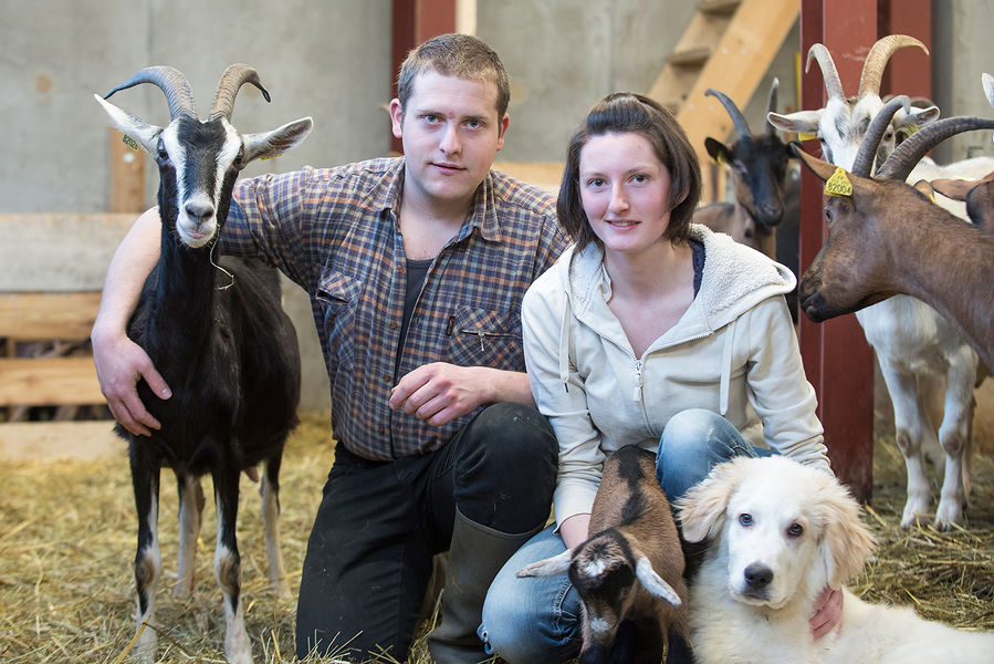 La Ferme des Hauts Forts