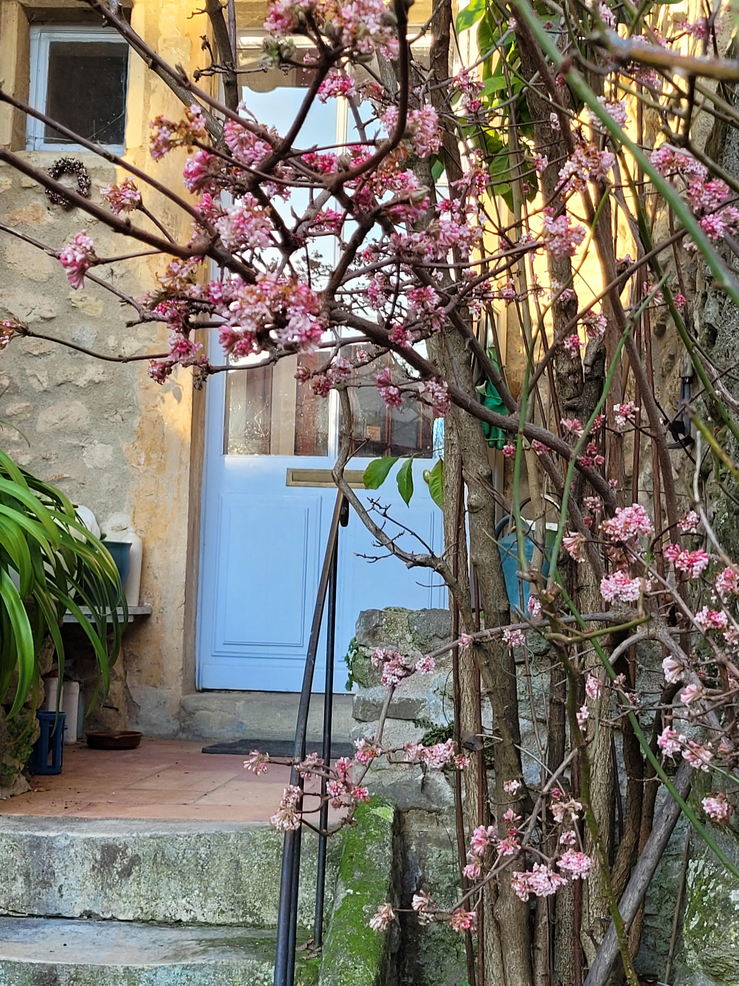 La Belle Etoile_Autichamp