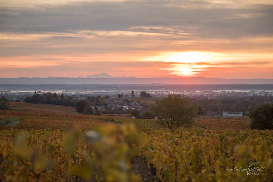 Au loin le Mont Blanc