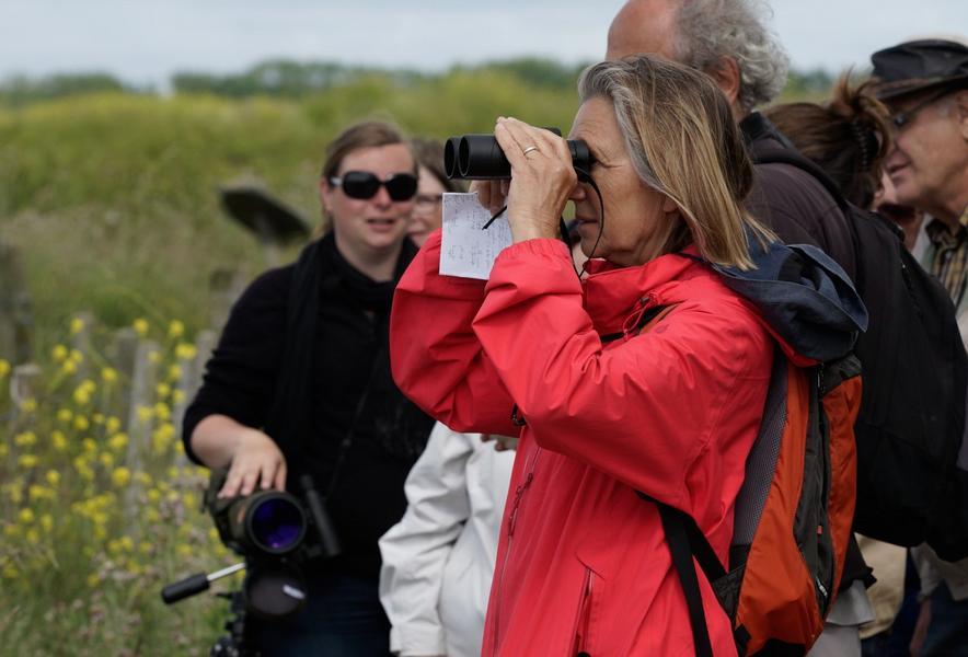 Déambulation Nature avec la LPO