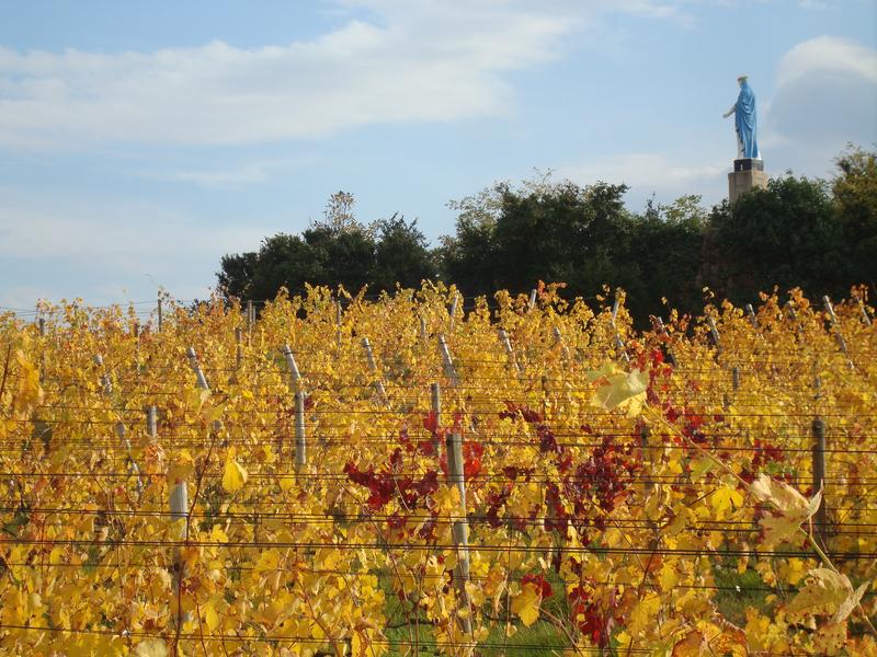 Circuit les Tétières_Blacé