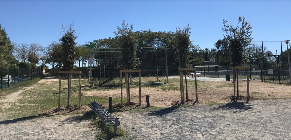 Parking vélos - Plage du Gros Jonc