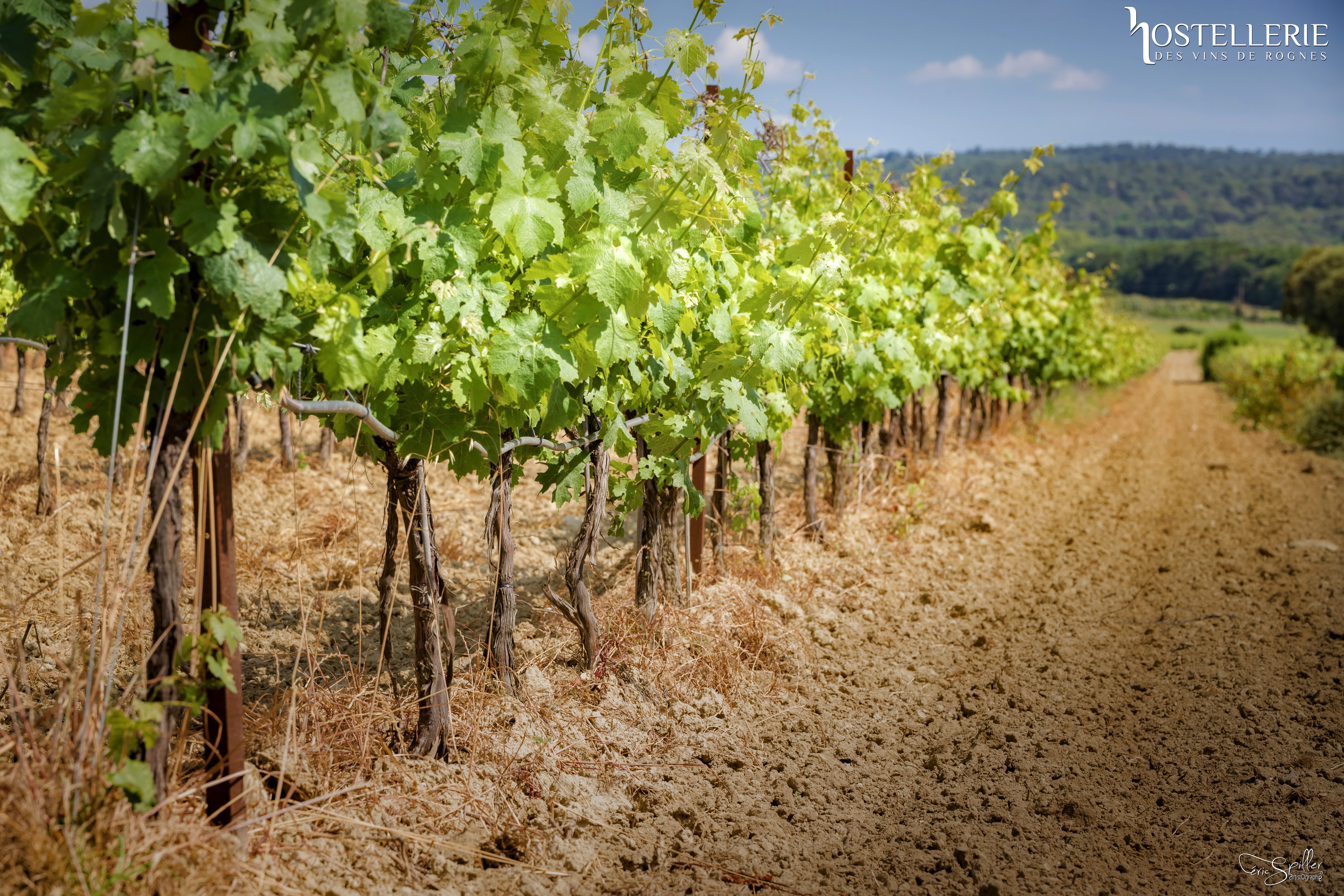 Hostellerie des Vins de Rognes — photo 2