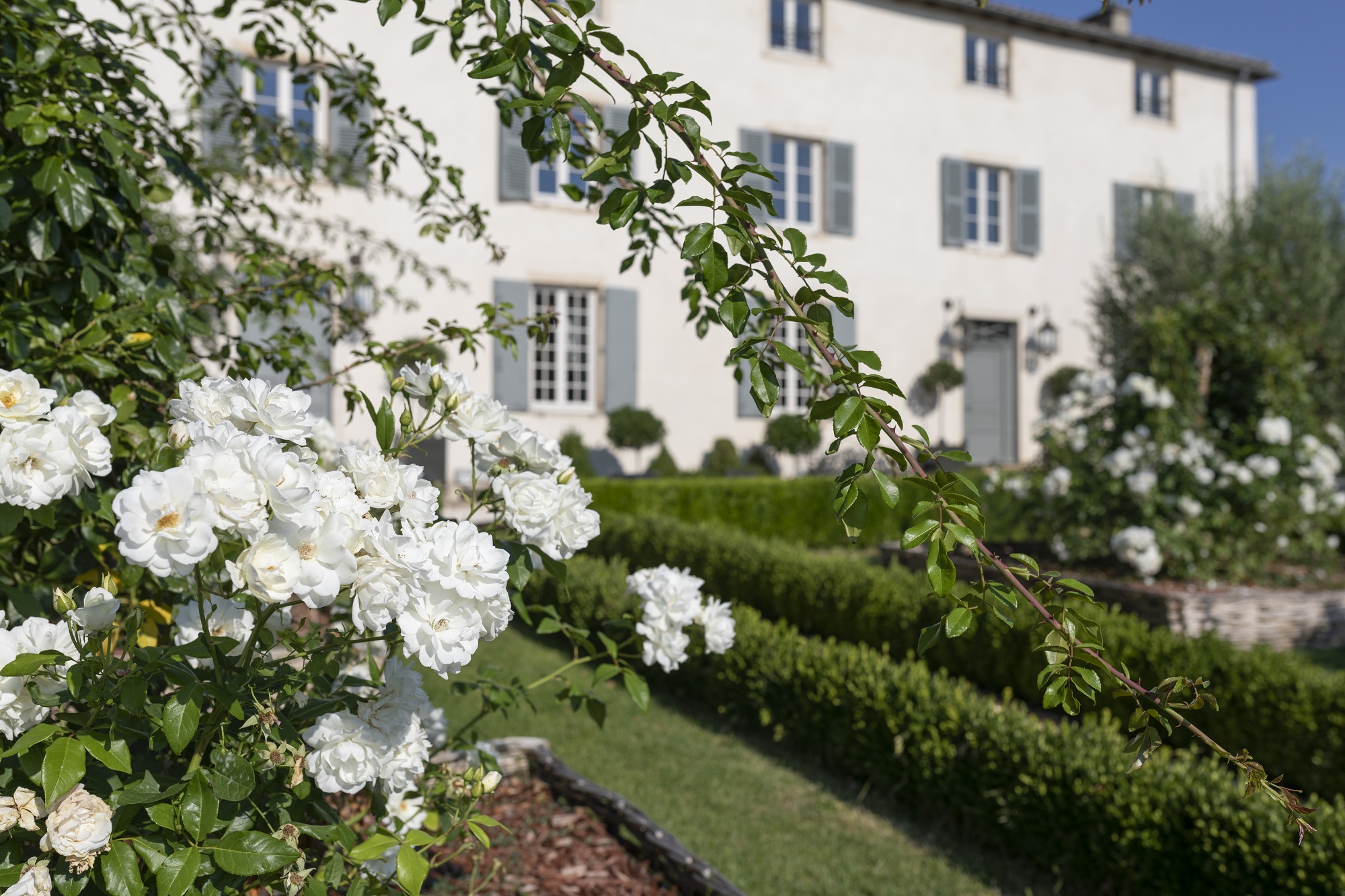 La Javernière_Villié-Morgon