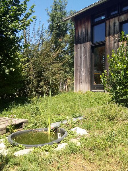 Brioche et Baldaquin