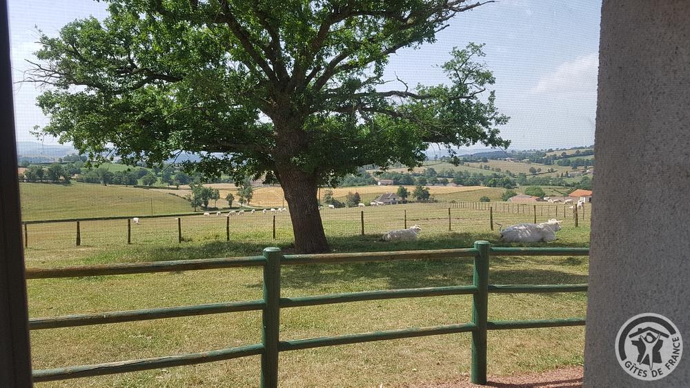 Chambres d\'hôtes \'La Ferme Fleurie\' à Thizy-Les-Bourgs, en Haut Beaujolais, dans le Rhône, proximité Roanne (42) et Lac des Sapins : vue sur la campagne depuis la Chambre \