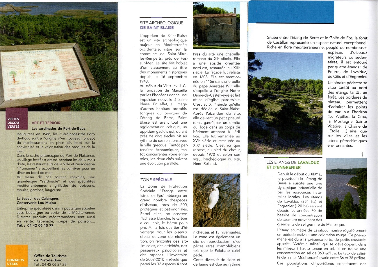 Forêt de Castillon - photo 2