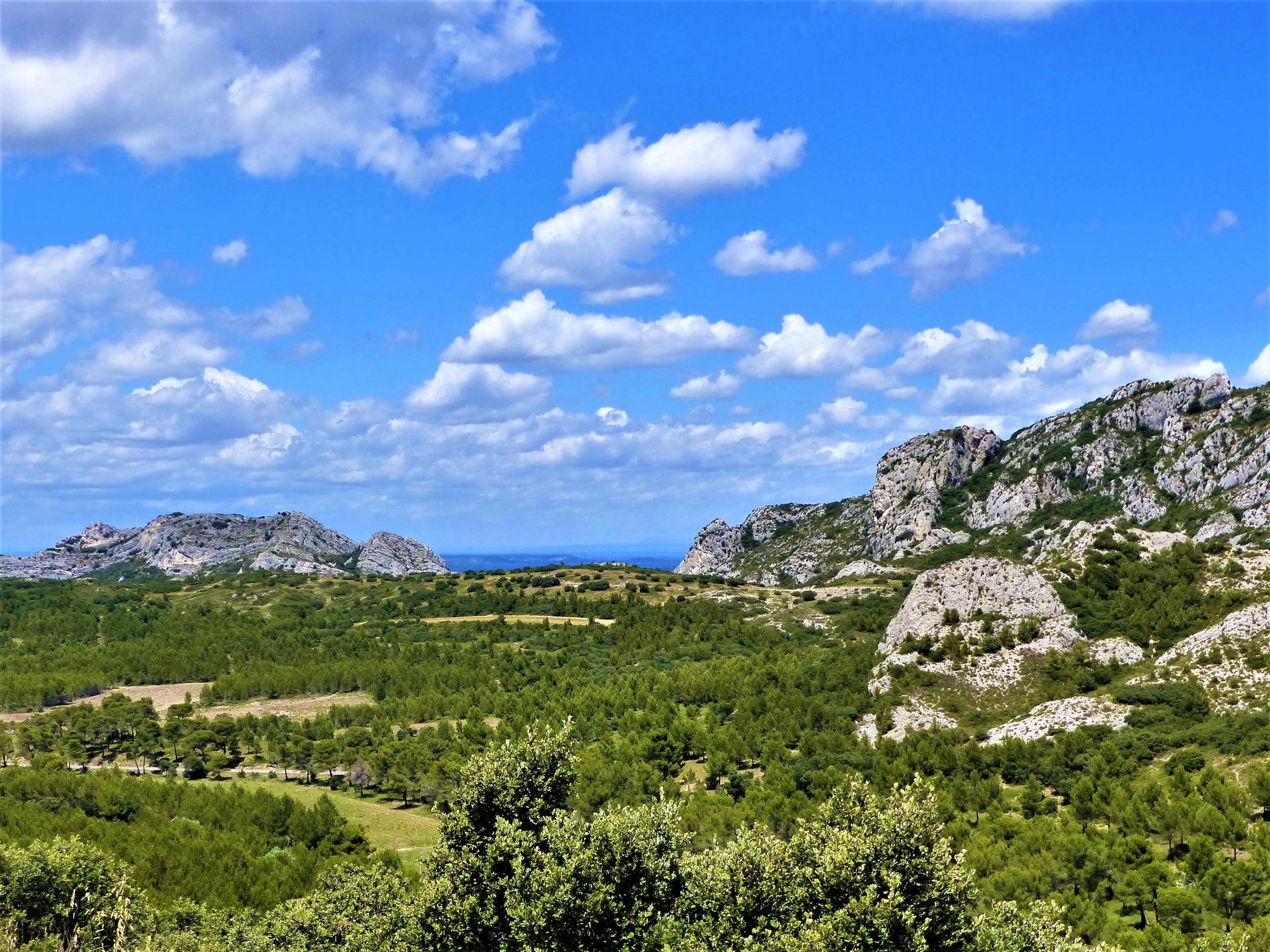 EYGALIÈRES - Petit et Gros Calans, Eygalières - photo 6