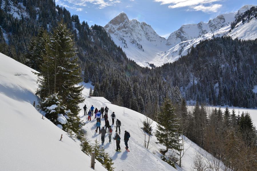 Discovery snowshoe hikes in Morgins