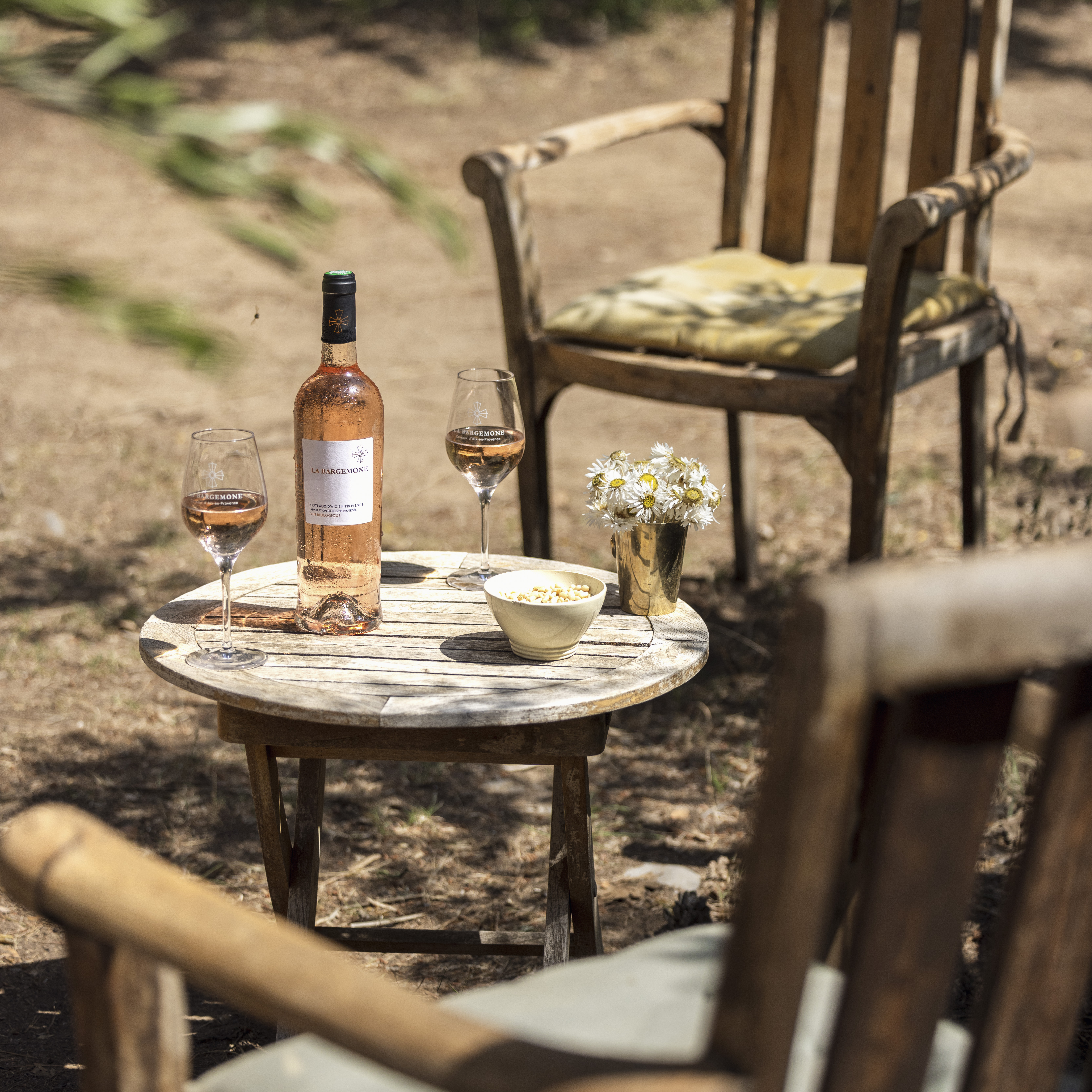 Domaine Bargemone - photo 4