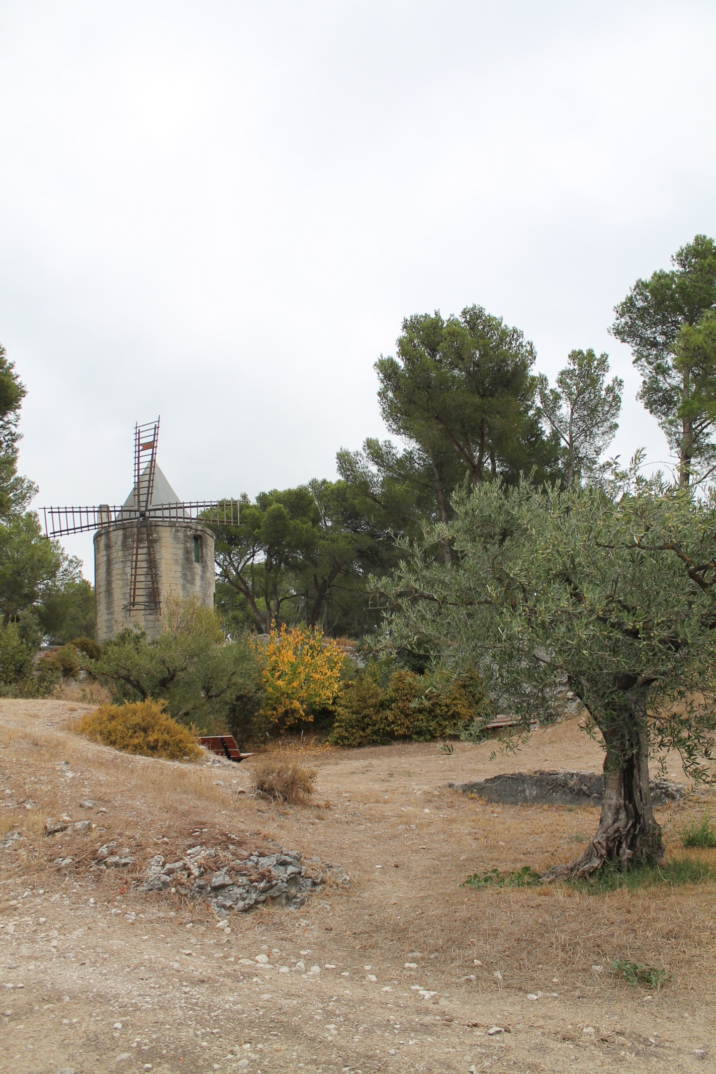 Moulin de Bretoule, Barbentane - photo 2