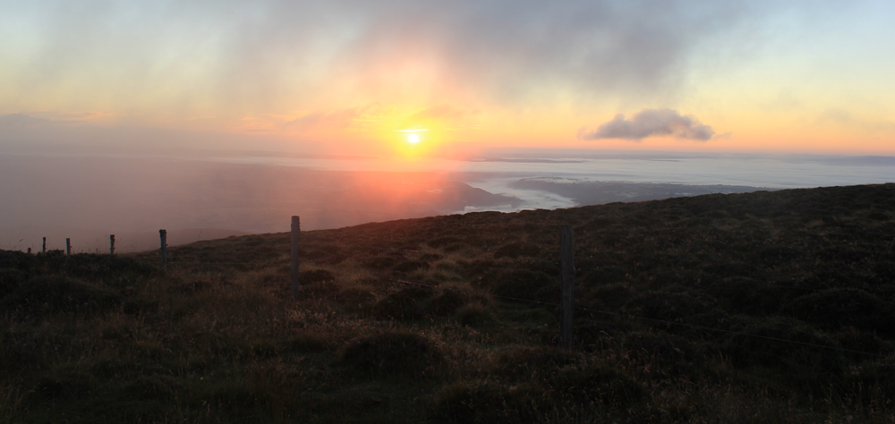 Sortie au lever du soleil : à l'aube du vivant