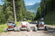 Descente en Mountain-kart sur la piste retour station