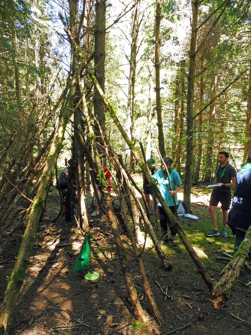 Les Robinsons des volcans