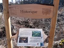 Sentier thématique Promenons-nous dans les bois