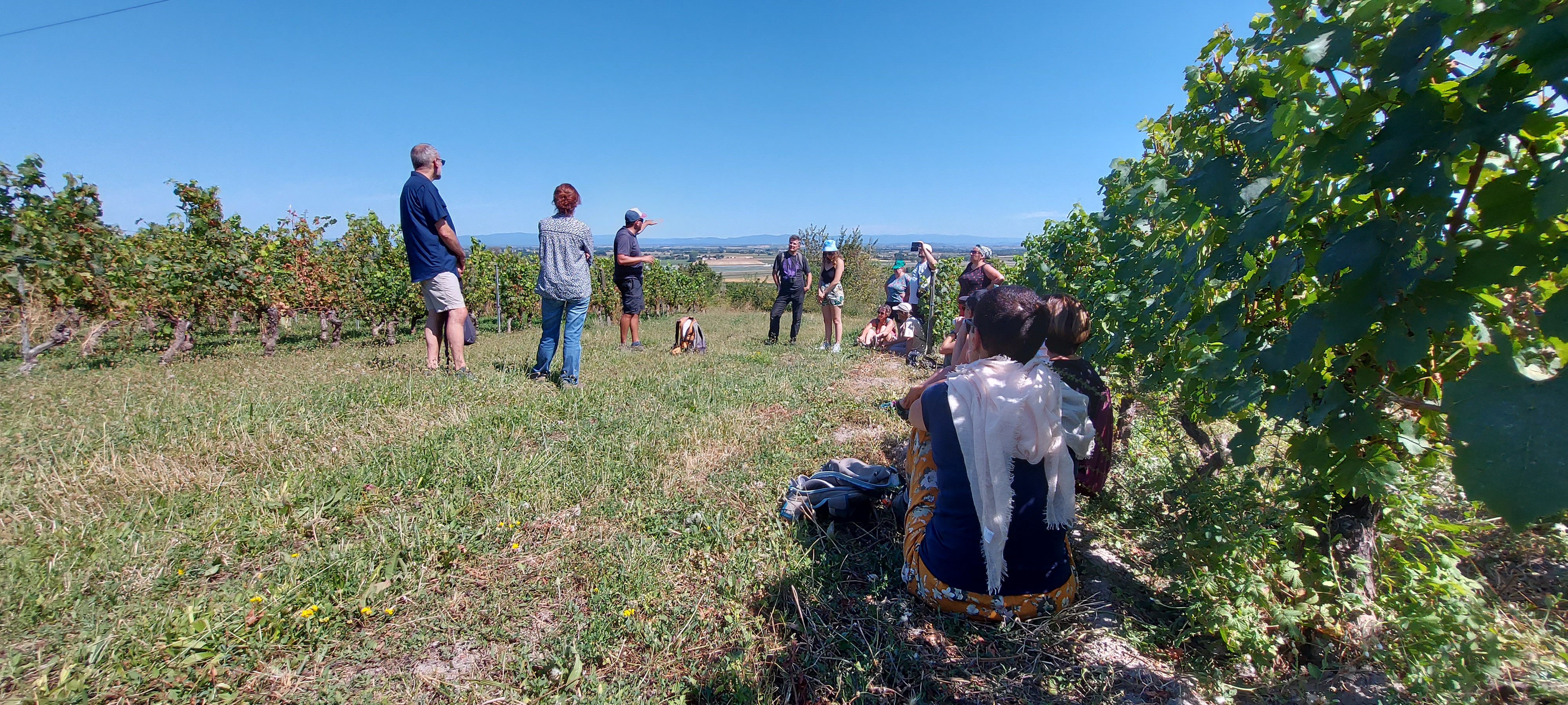 Balade vigneronne au domaine Montel