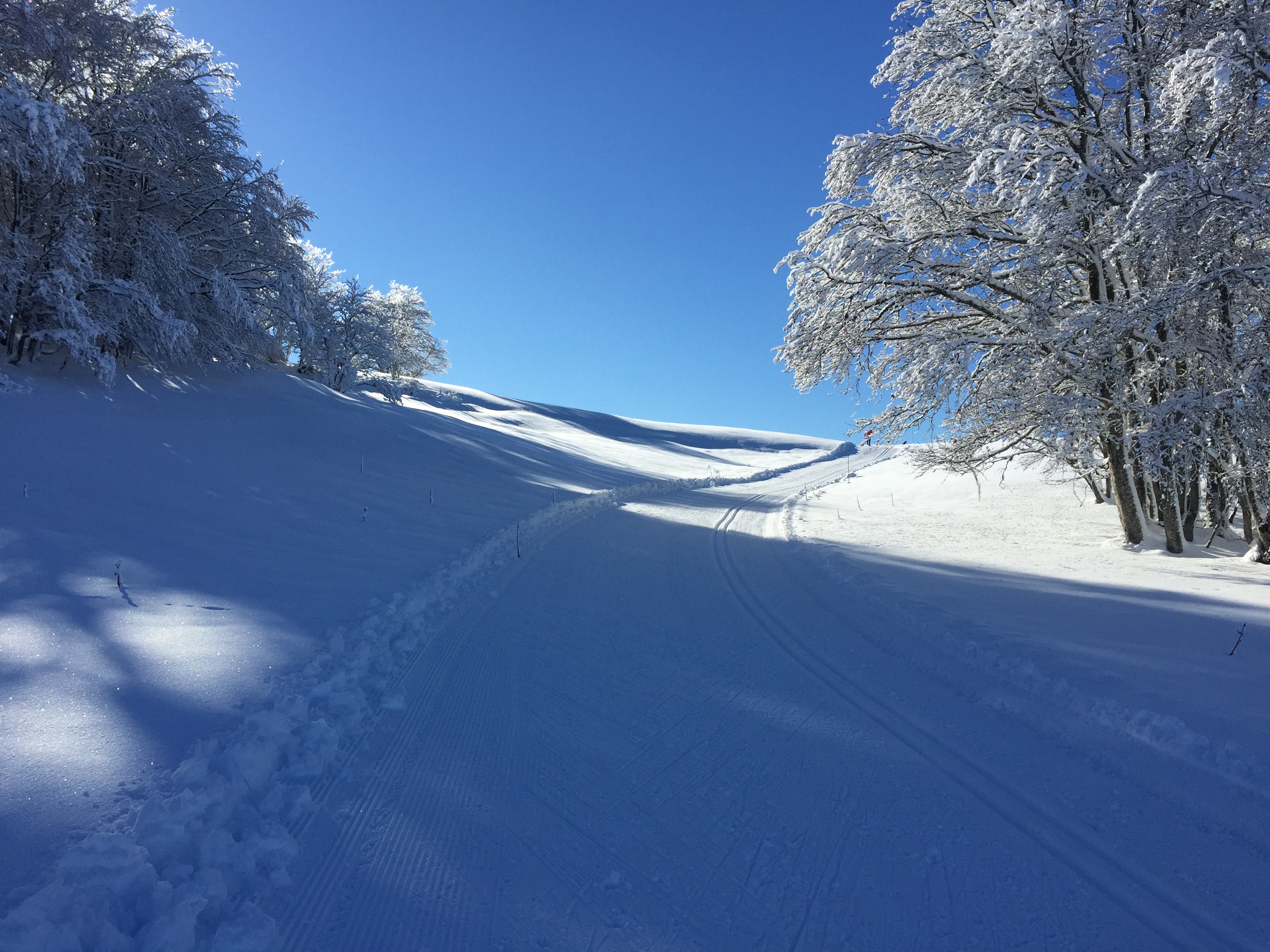 Piste verte de ski de fond du Plateau de Retord : La Vezeronce