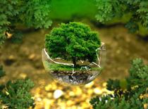 Pint of Science - Regards sur l’origine de la biodiversité alpine_Grenoble