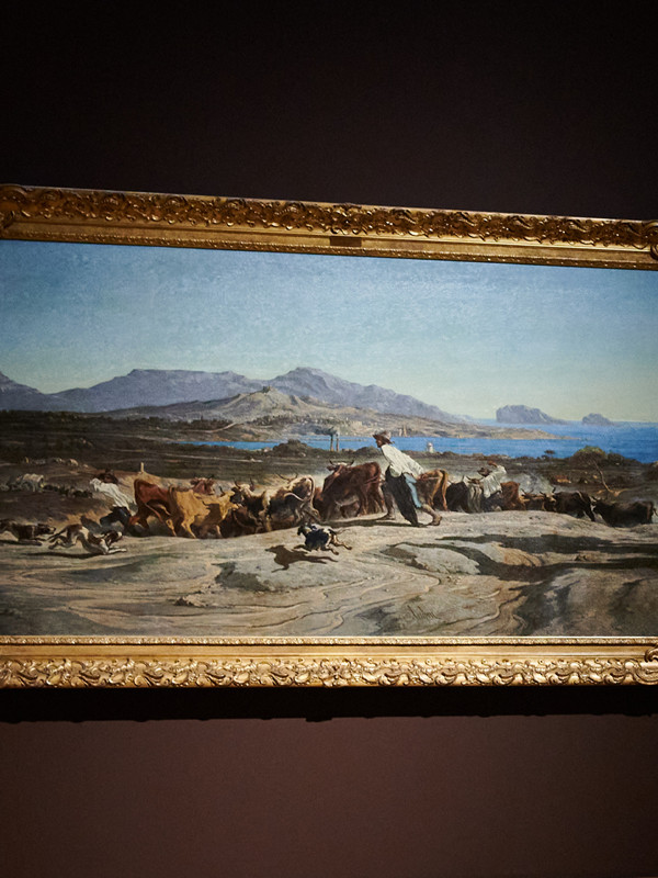 Visites éveil "Les sens en Provence"