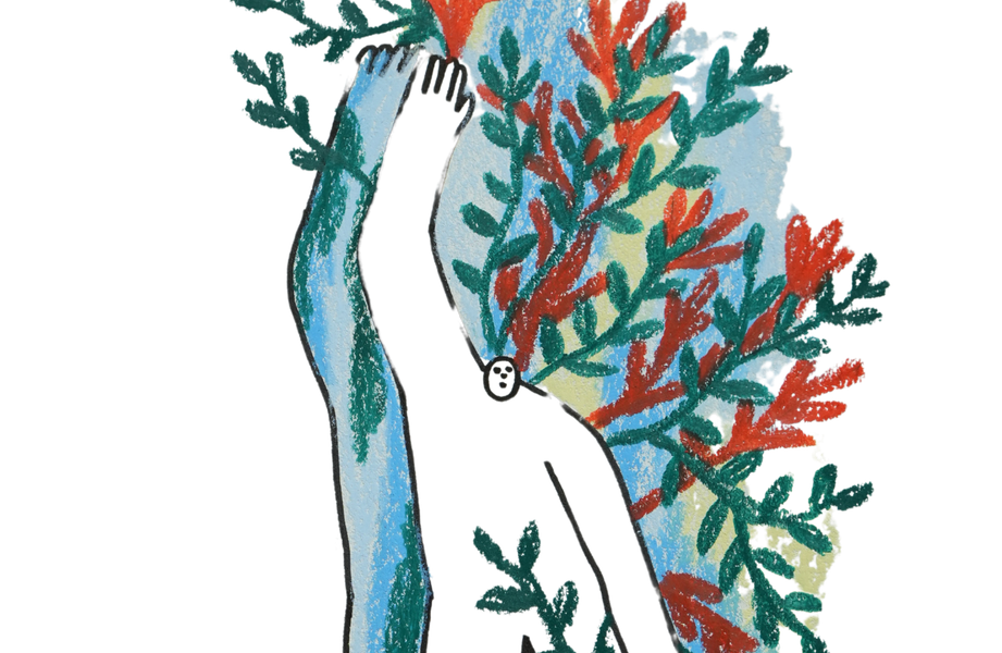 Illustration