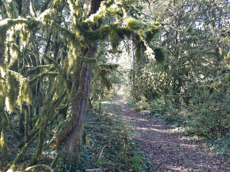 Circuit VTT n°8 (rouge) - Château de Rosy et le col des Justices_Simandre-sur-Suran