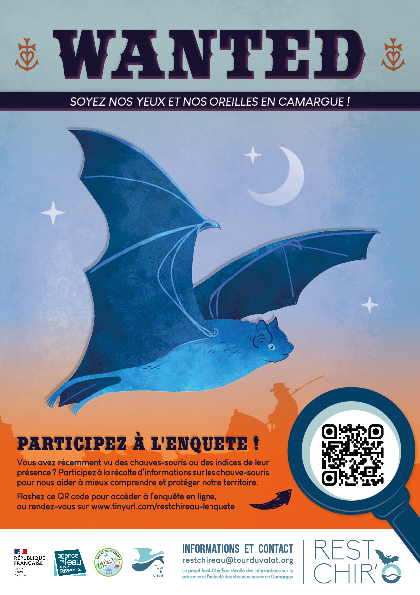 Enquête participative pour le suivi de chauve souris : projet Rest Chir&rsquo;eau