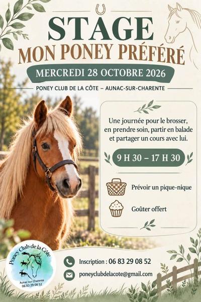 Stage "Mon poney préféré"