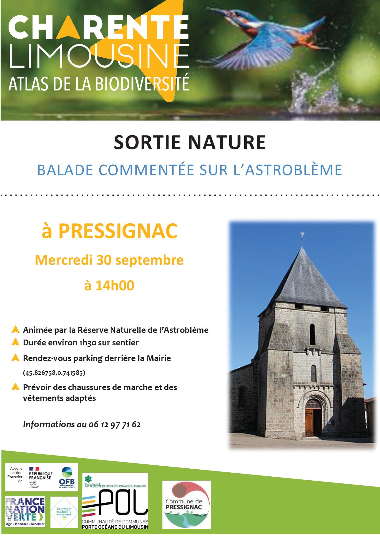 Sortie nature