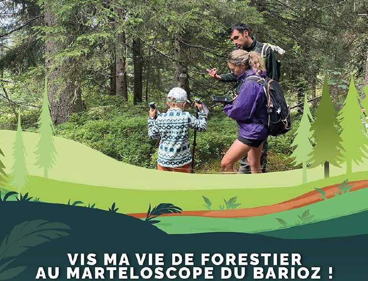 Vis ma vie de forestier au marteloscope du Barioz