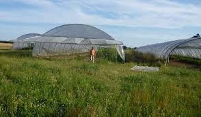 Eric Rivier Maraîcher