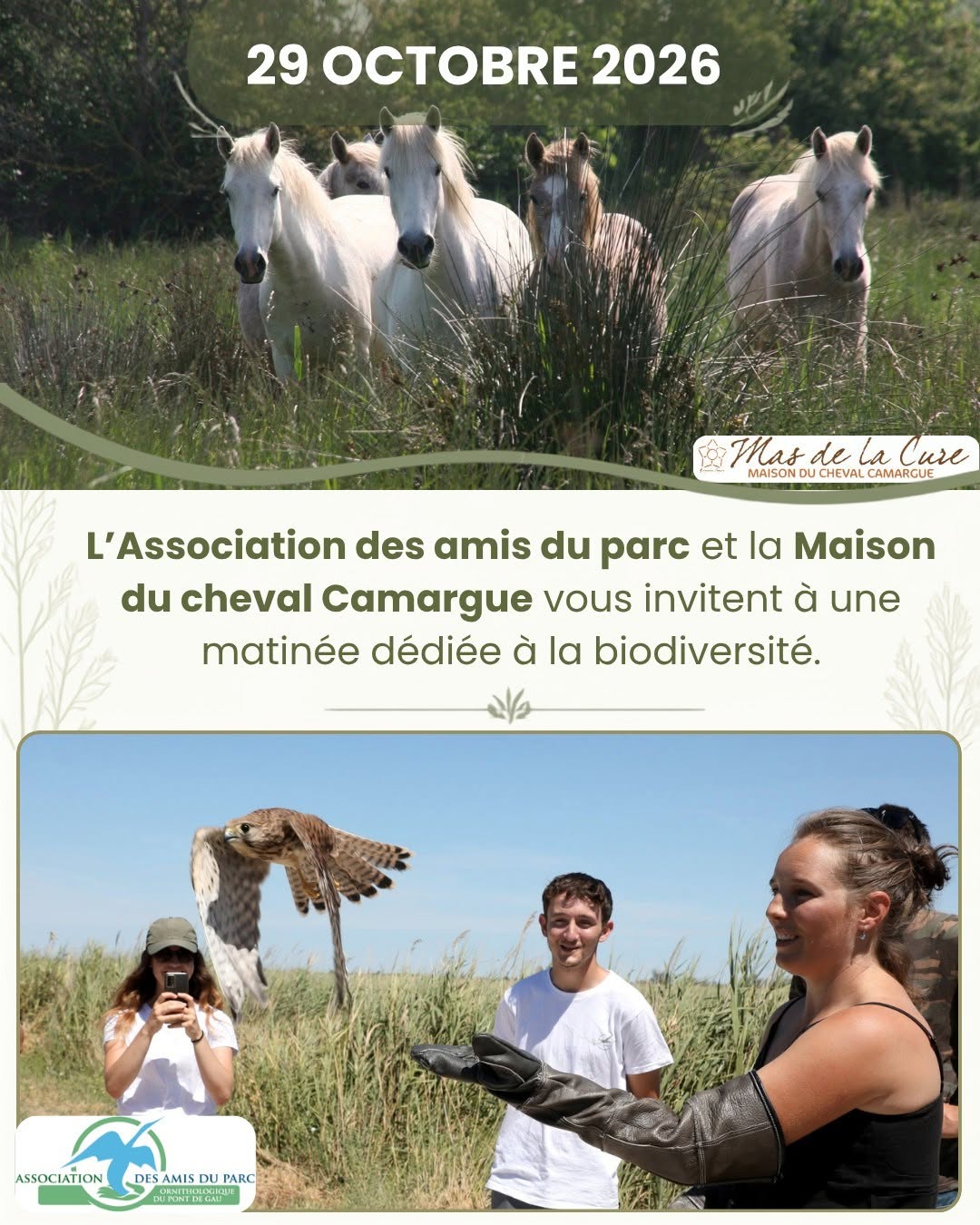 Un instant suspendu en Terre Camargue