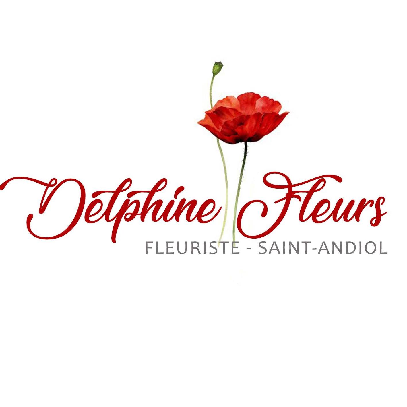 Delphine Fleurs