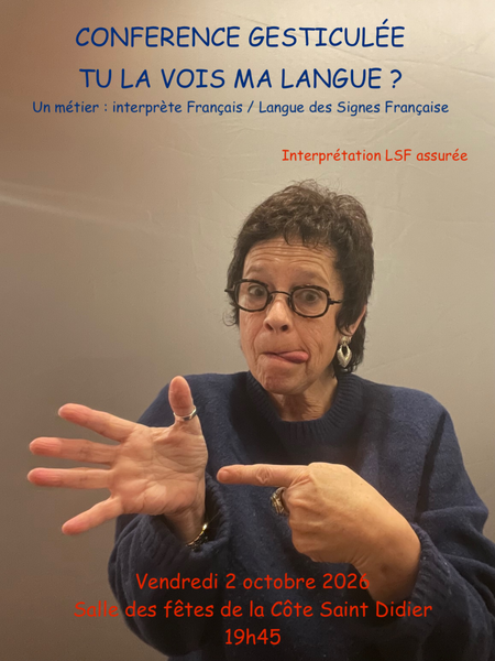 Conférence gesticulée : Tu la vois ma langue ?