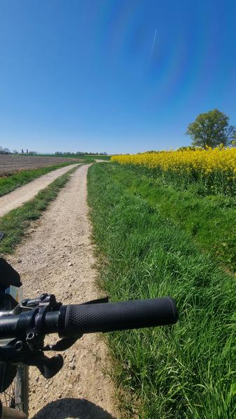 Circuit VTT-VTC n°11 (bleu) - Prairie de Jayat - Chartreuse de Montmerle_Malafretaz