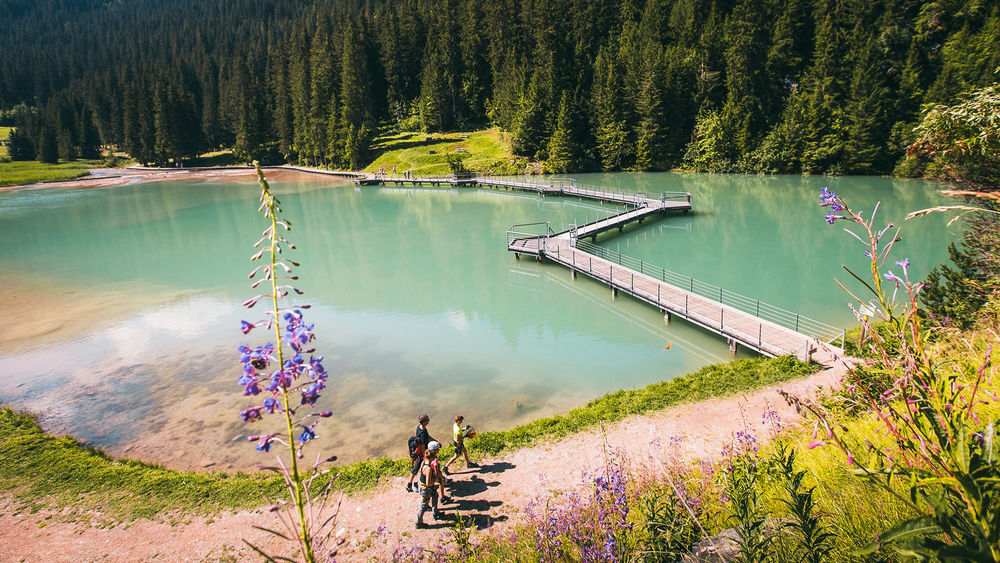 Promenade confort Torrent et lac de la Rosière