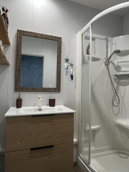 Une salle d'eau avec la cabine de douchet, et le meuble du lavabo avec rangement et miroir.